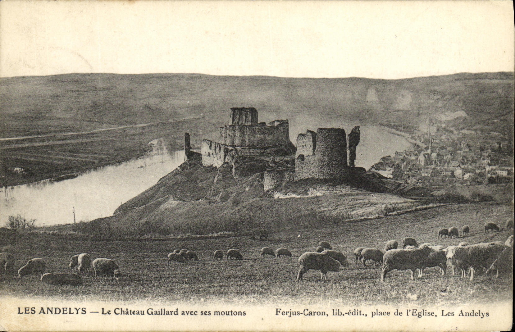 CPA Les Andelys Le Chateau Gaillard avec ses moutons