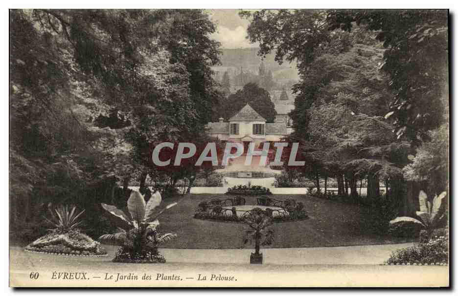 CPA Evreux Le Jardin des Plantes La Pelouse