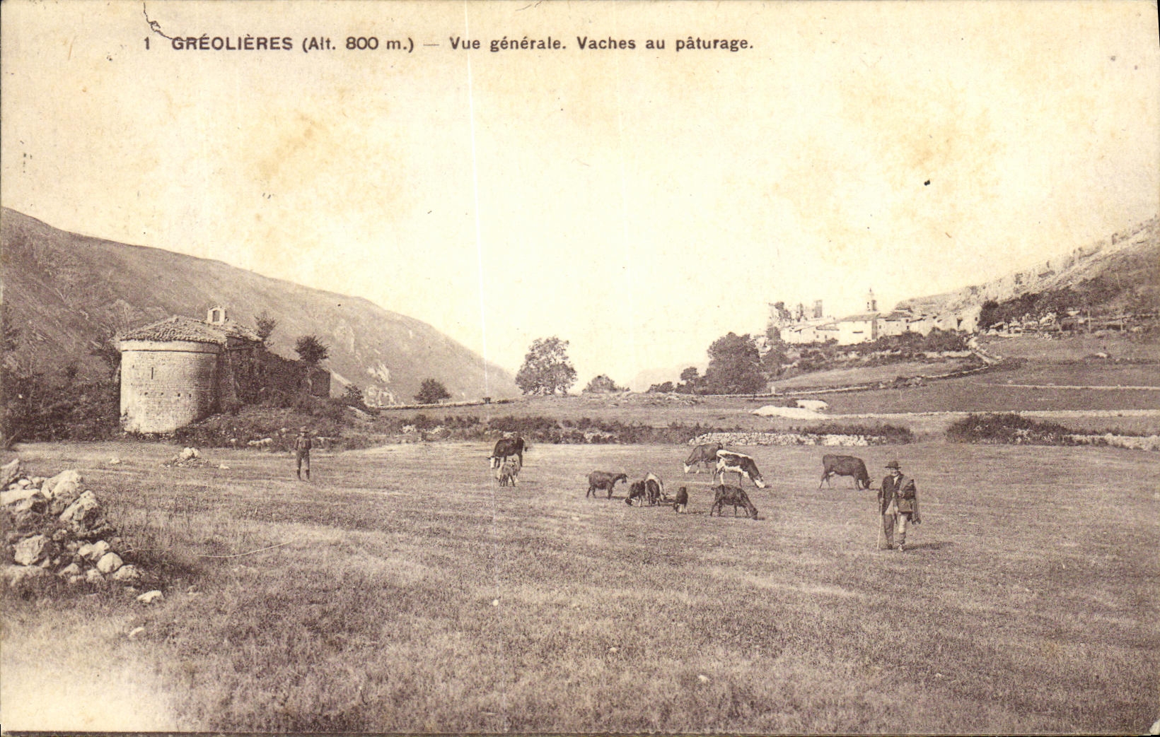 CPA Greolieres Vue generale Vaches au paturage Chevre