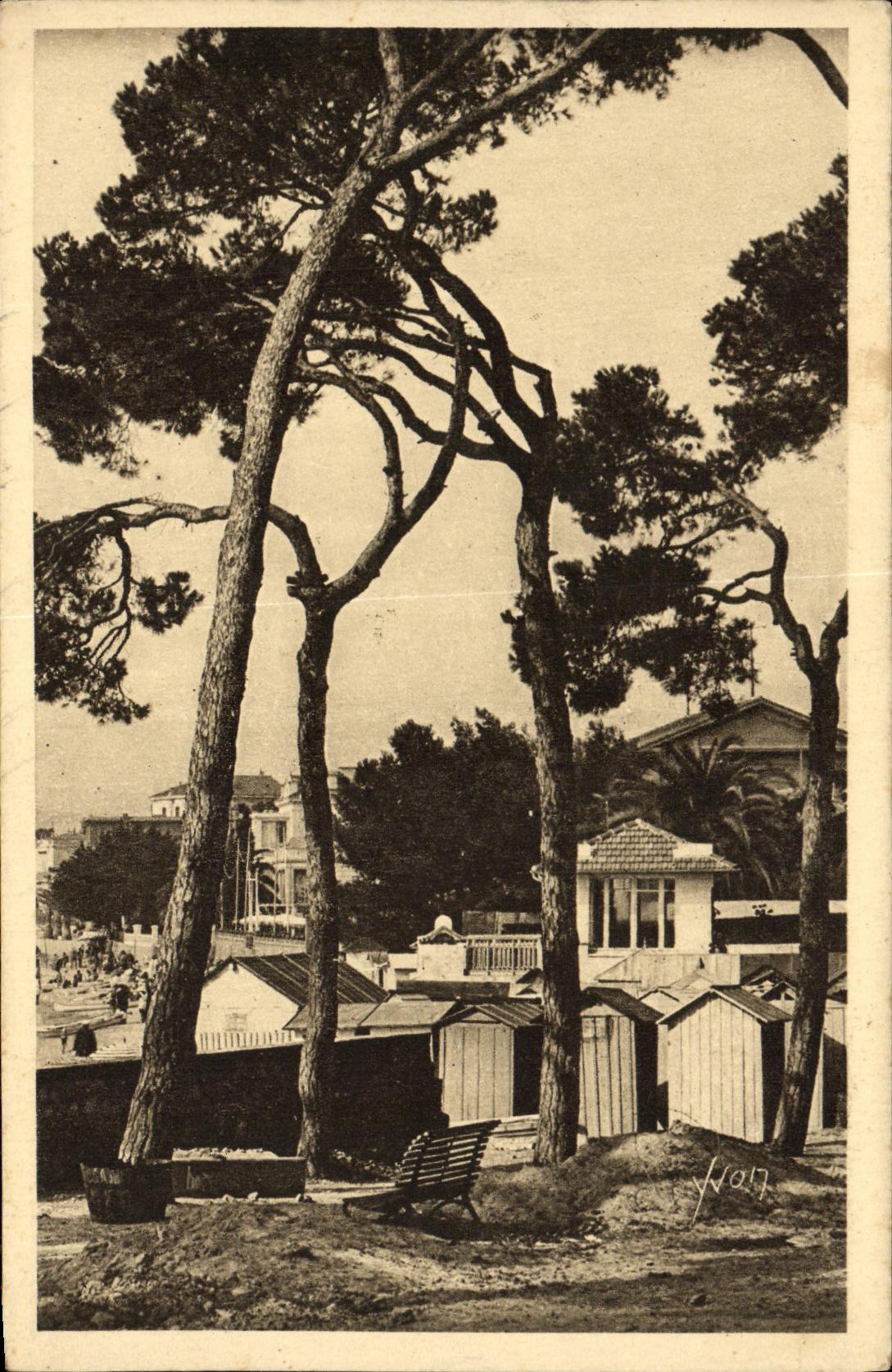 CPA Juan les Pins etude de Pins