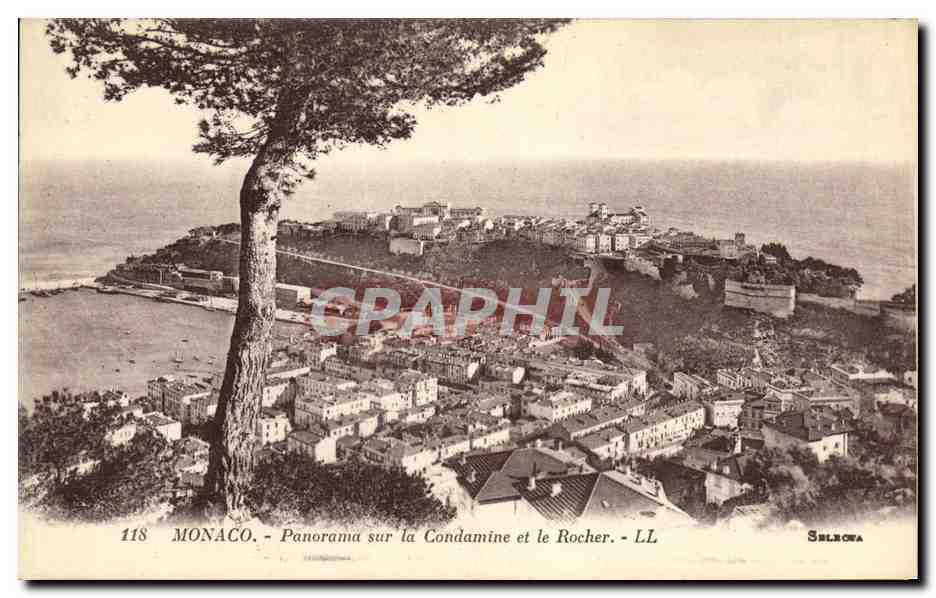 CPA Monaco Panorama Sur La Condamine et le Rocher