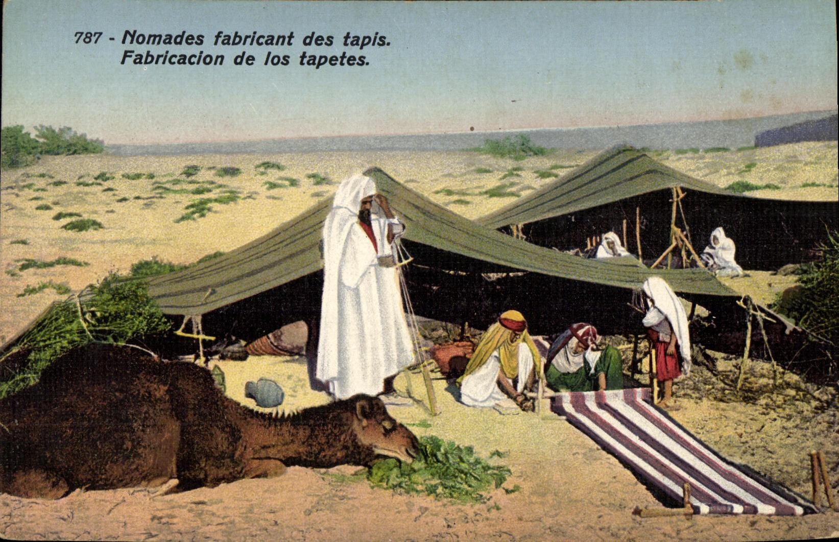 CPA Nomades Fabricant des Tapis Chameau 