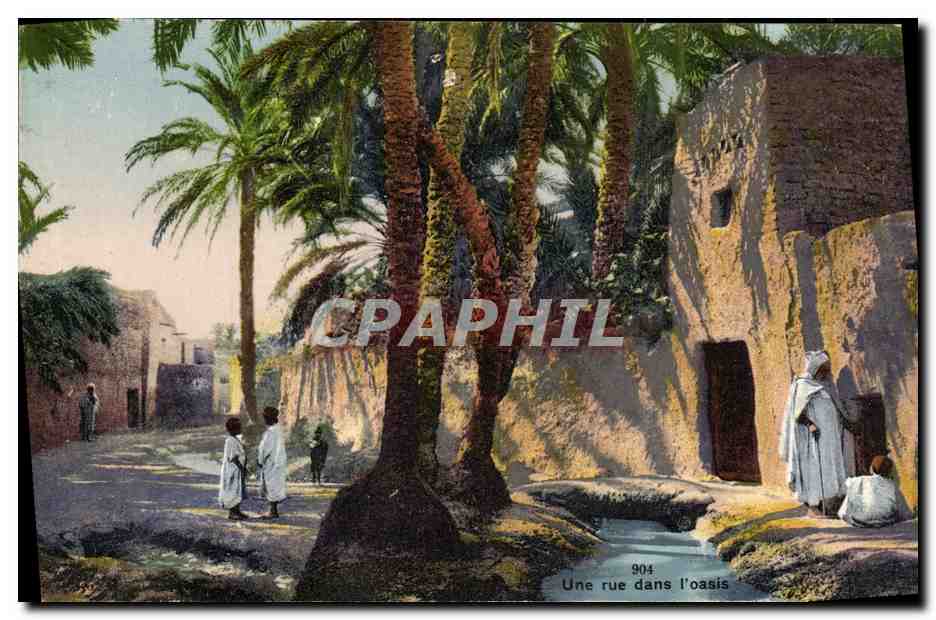 CPA Une rue dans l oasis