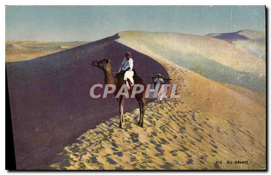 CPA Le desert Chameau Au dos Cachet Armee du levant Cavalerie 