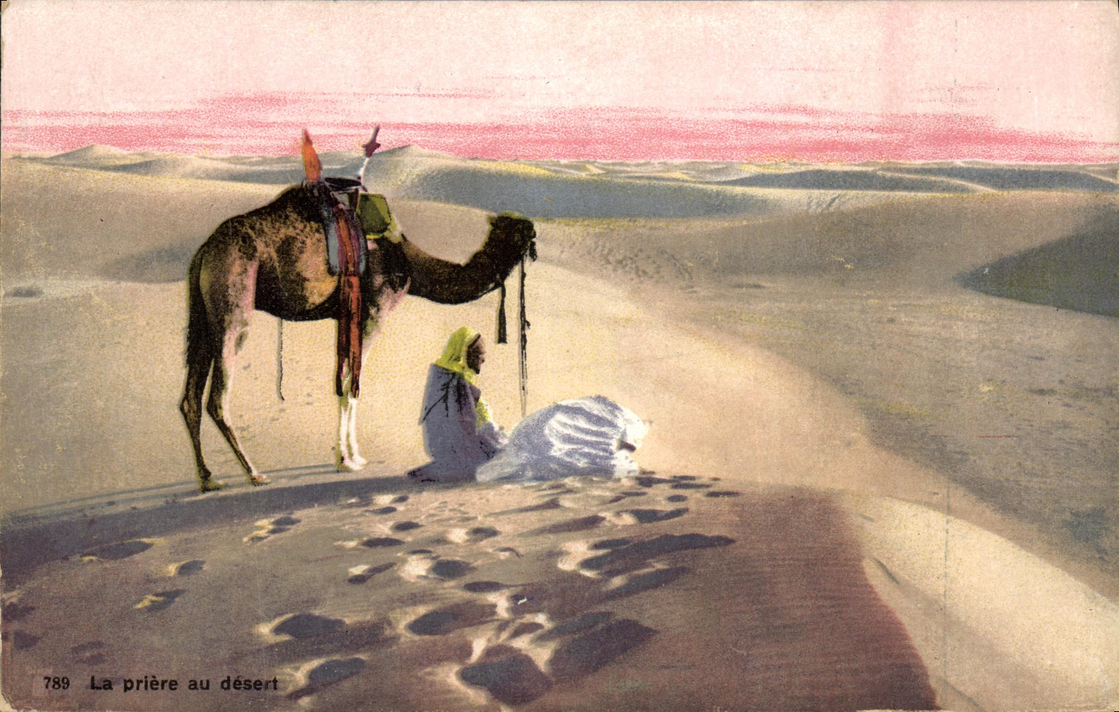 CPA La priere du desert Chameau Au dos Cachet Armee du levant Cavalerie 