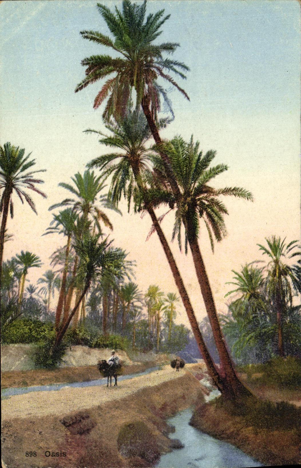 CPA Oasis Au dos Cachet Armee du levant Cavalerie 