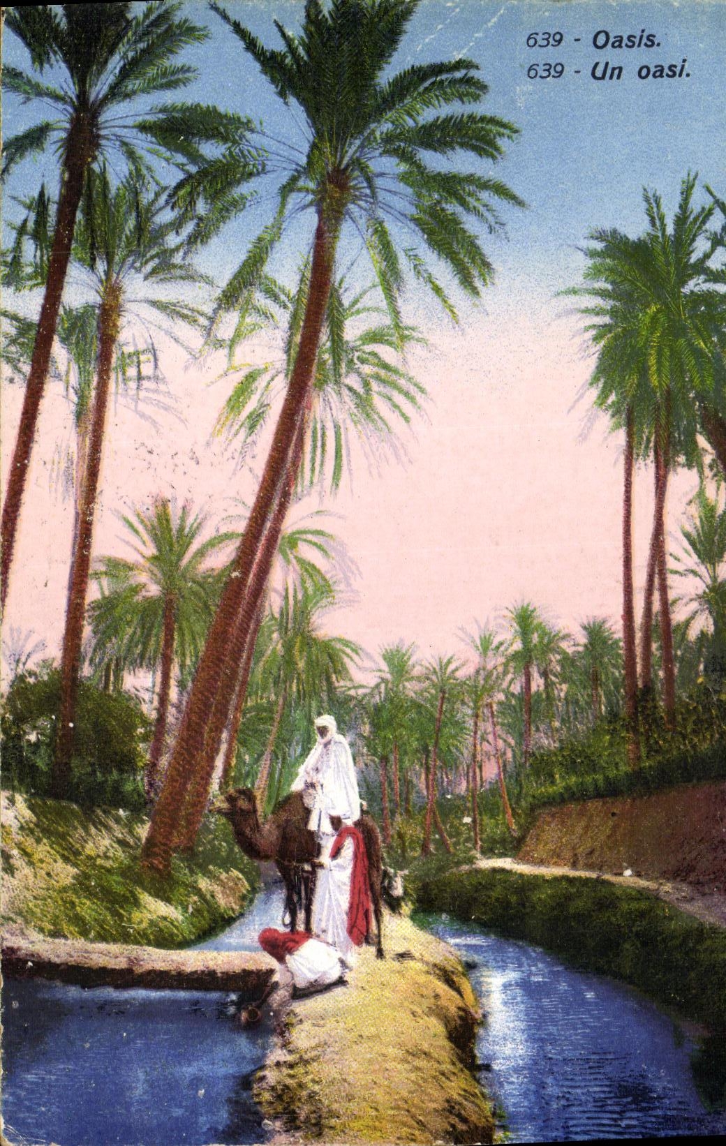 CPA Oasis Chameau Au dos Cachet Armee du levant Cavalerie 