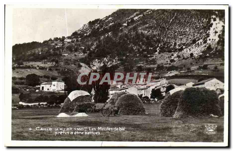 CPA Cille Les Meules de Ble pretes a etre battues