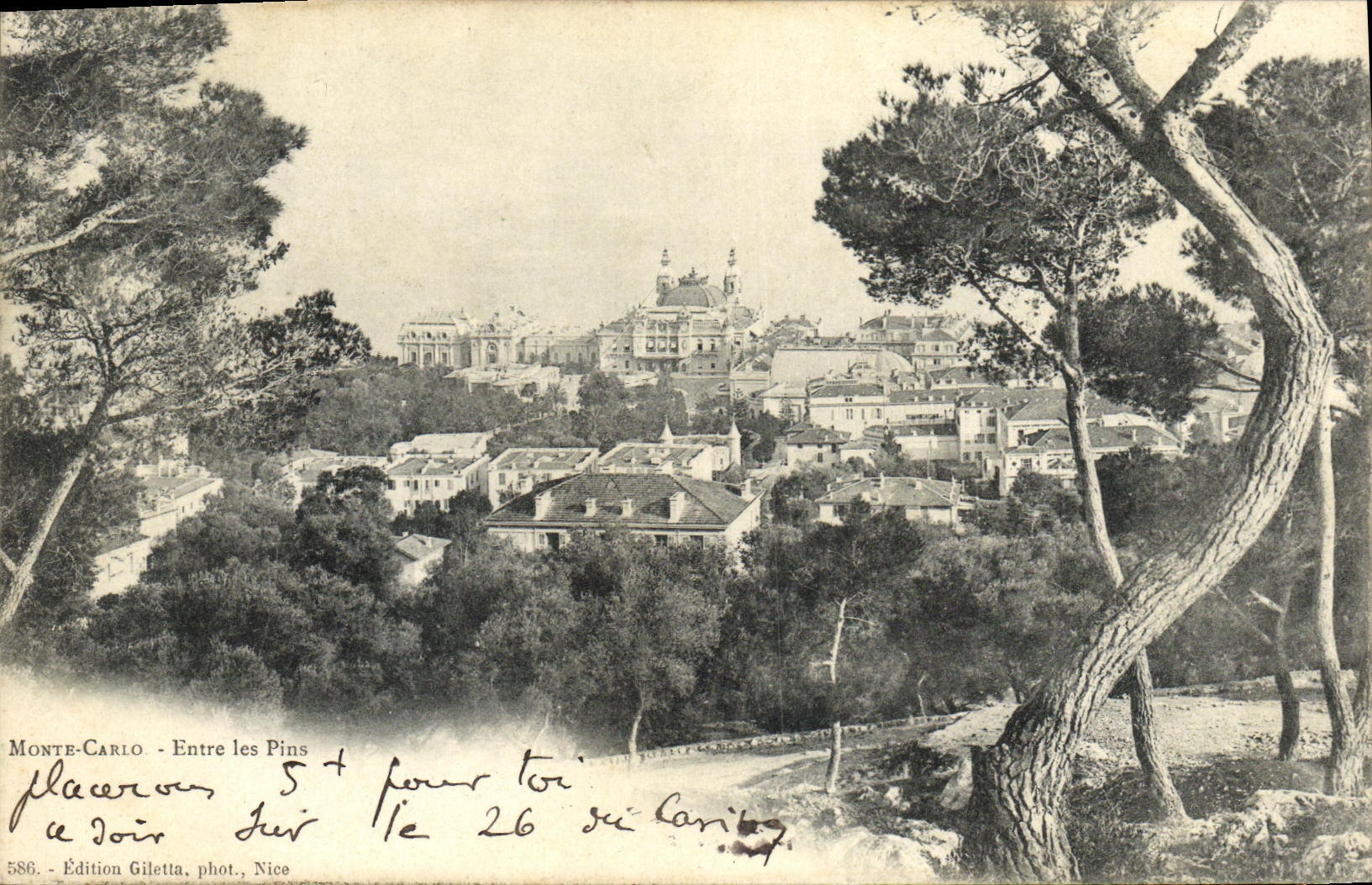CPA Monaco Monte Carlo Entre les pins 