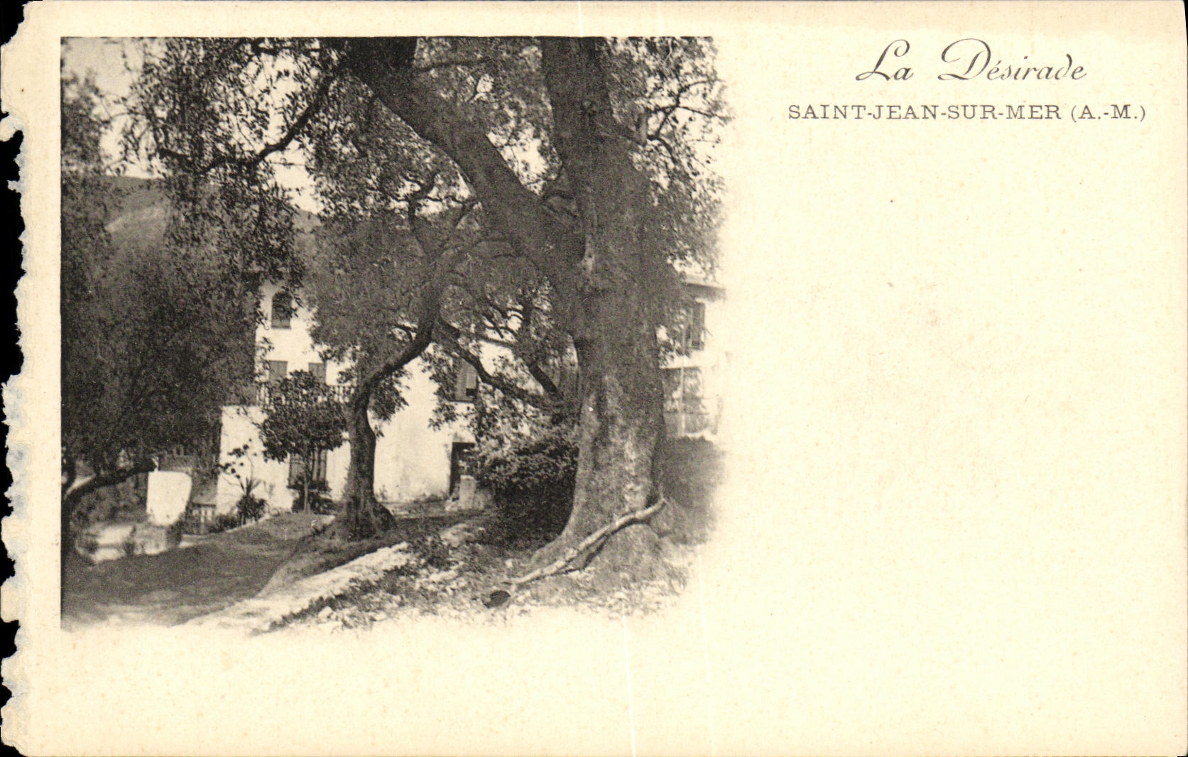 CPA La Desirade Saint Jean Sur Mer