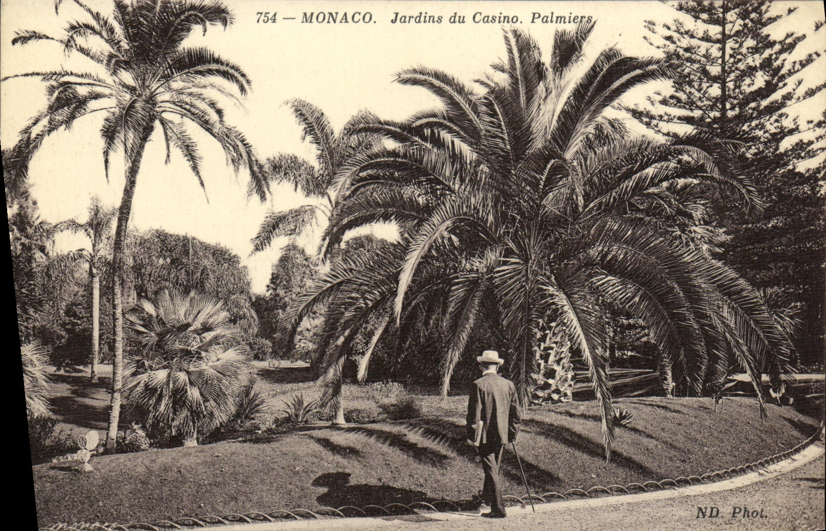 CPA Monaco Jardins du Casino Palmiers