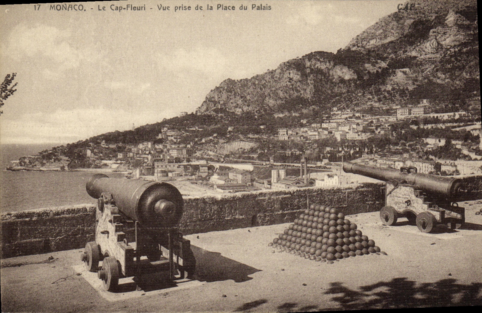 CPA Monaco Le Cap Fleuri Vue Prise de la Place du Palais Canons 