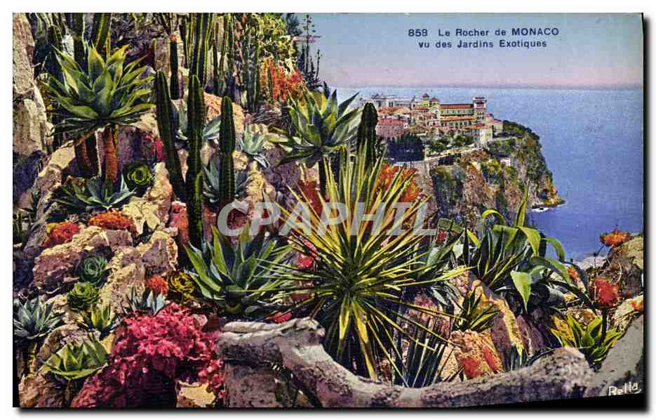 CPA Monaco Jardin Exotique