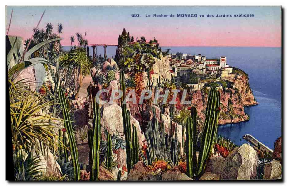 CPA Monaco Les Jardins Exotiques Le Rocher 