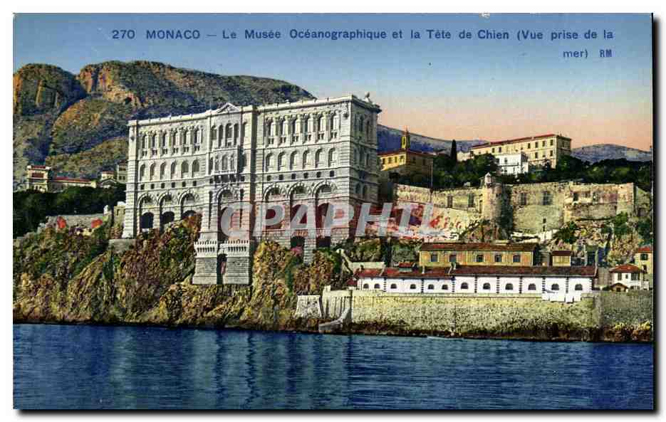 CPA Monaco Le Musee Oceanographique et la Tete de Chien