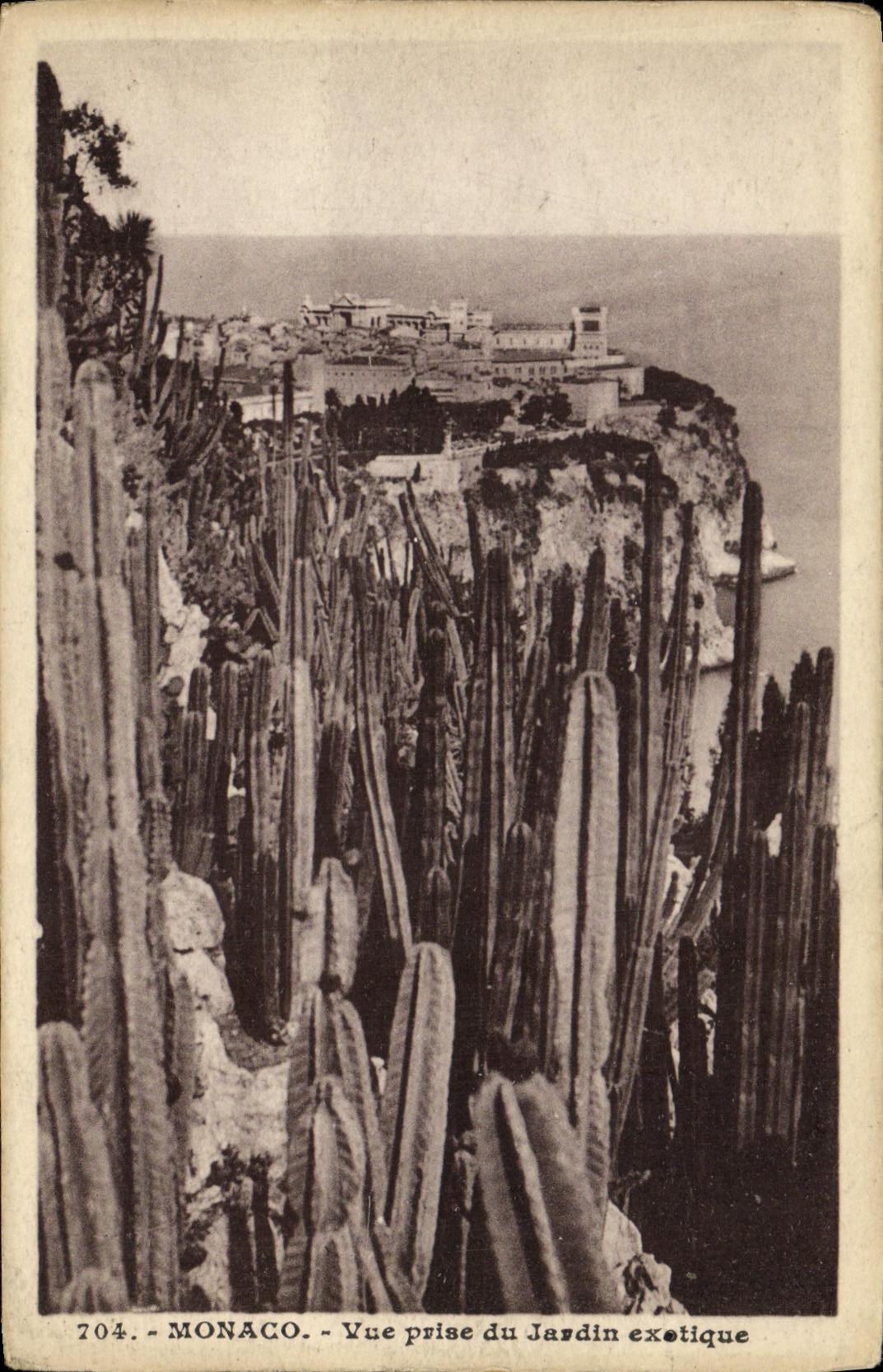 CPA Monaco Vue prise du jardin exotique 