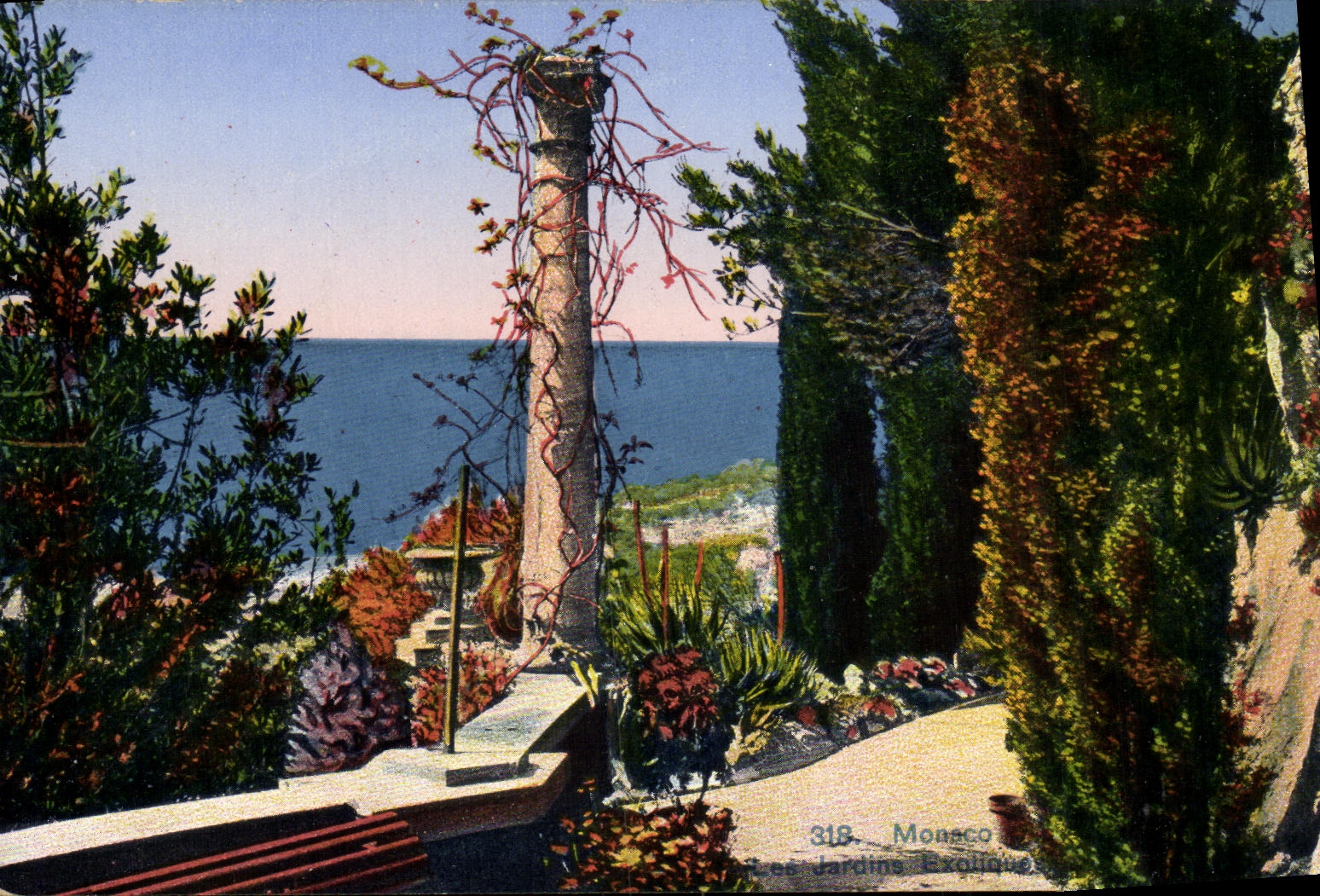CPA Monaco Principaute Les jardins exotiques