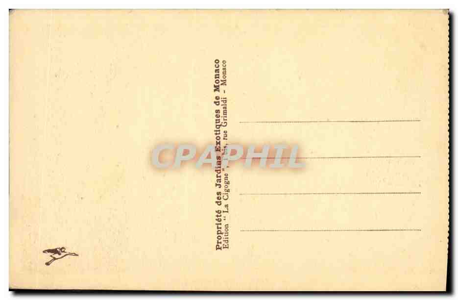 CPA Monaco Les Jardins Exotiques Euphorbes Grandicornis — Verso