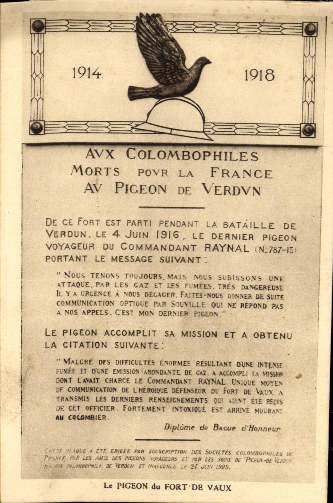 Fort de Vaux — Pigeon voyageur mort pour la France — Diplôme de l'Association des Colombophiles de France