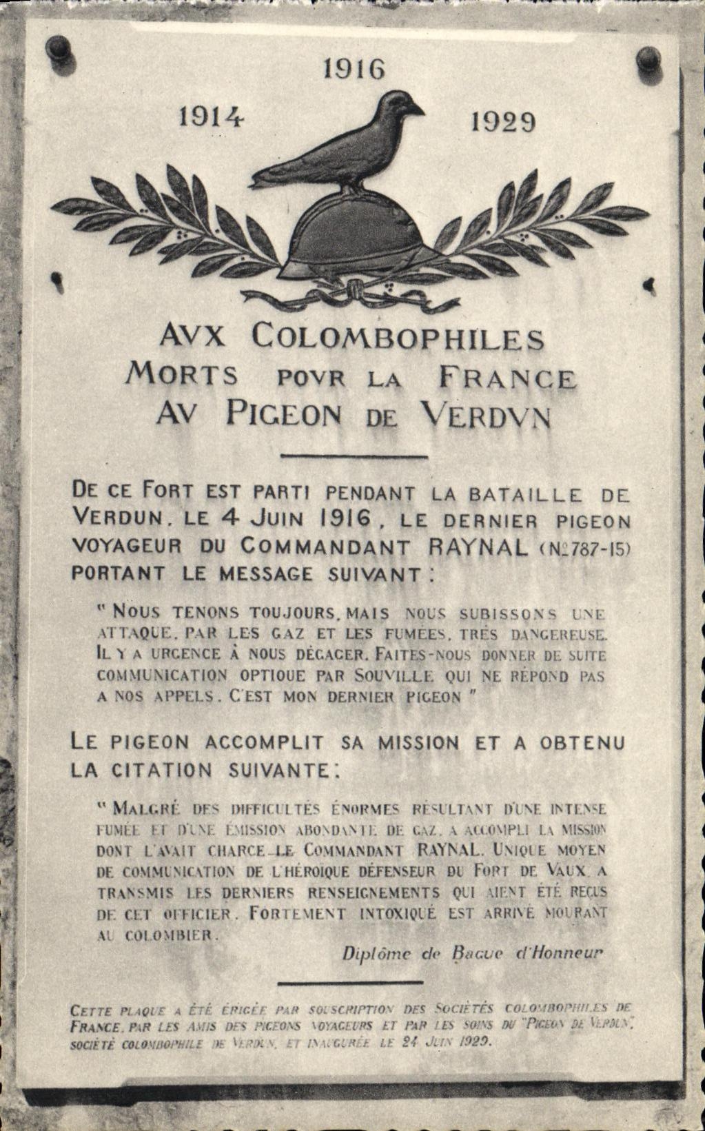 Fort de Vaux — Plaque commémorative du pigeon voyageur Raynal — Société colombophile de Verdun