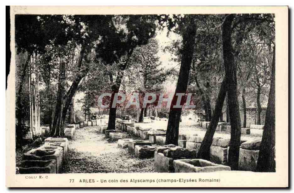 CPA Arles Un Coin des Alyscamps Champs Elysees romains