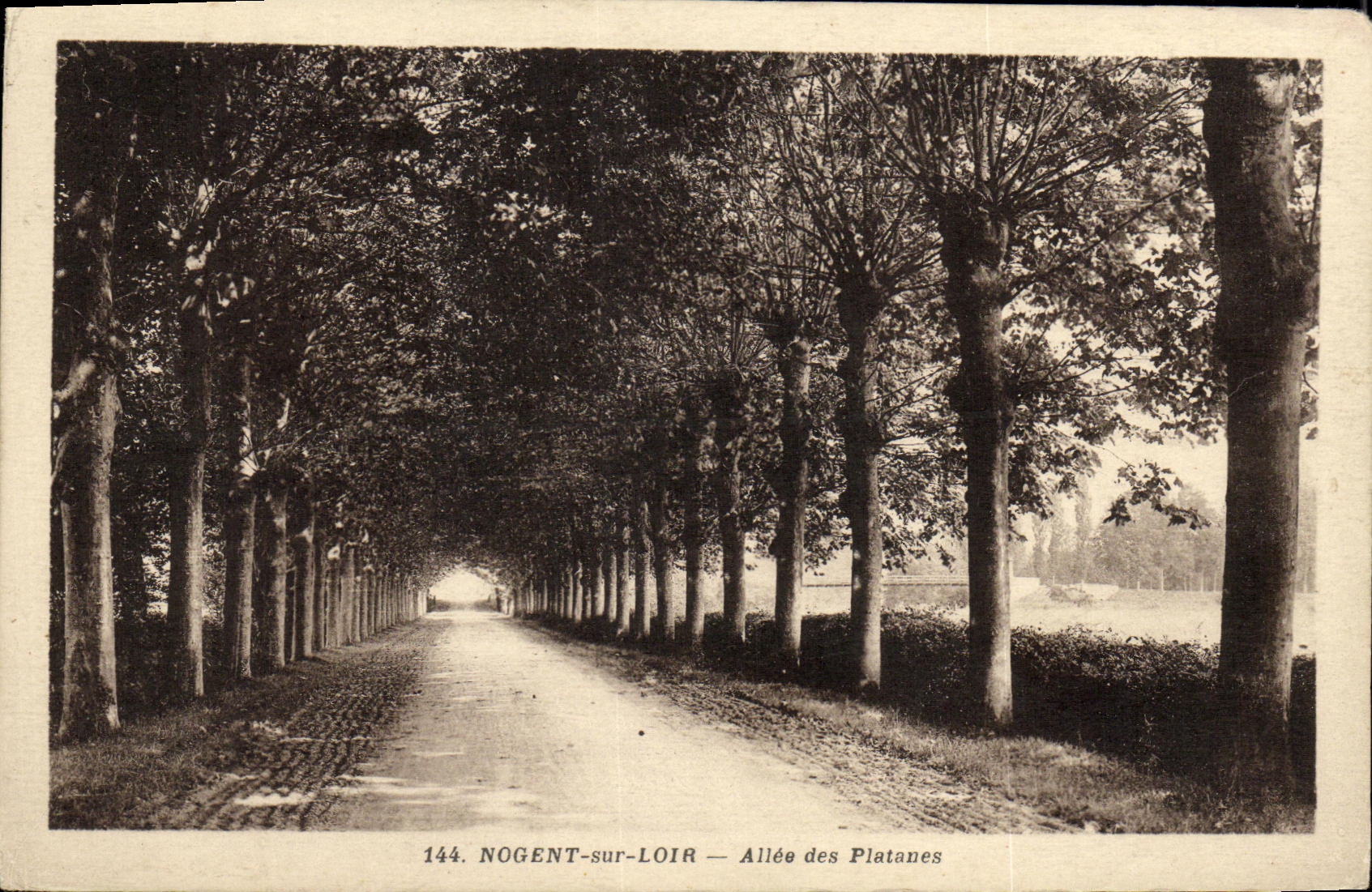 Nogent-sur-Loir — Allée des Platanes — Phototypie Perrin-Menten