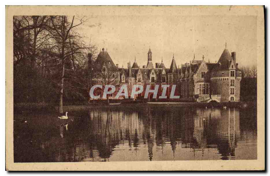 CPA Chateau de Bonnetable Le lac Cygne