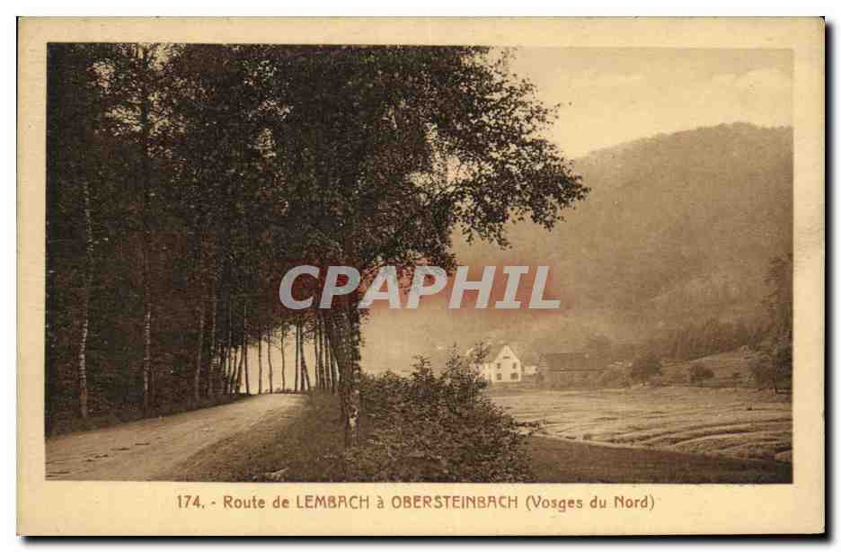 CPA Route de Lembach a Obersteinbach Vosges du Nord