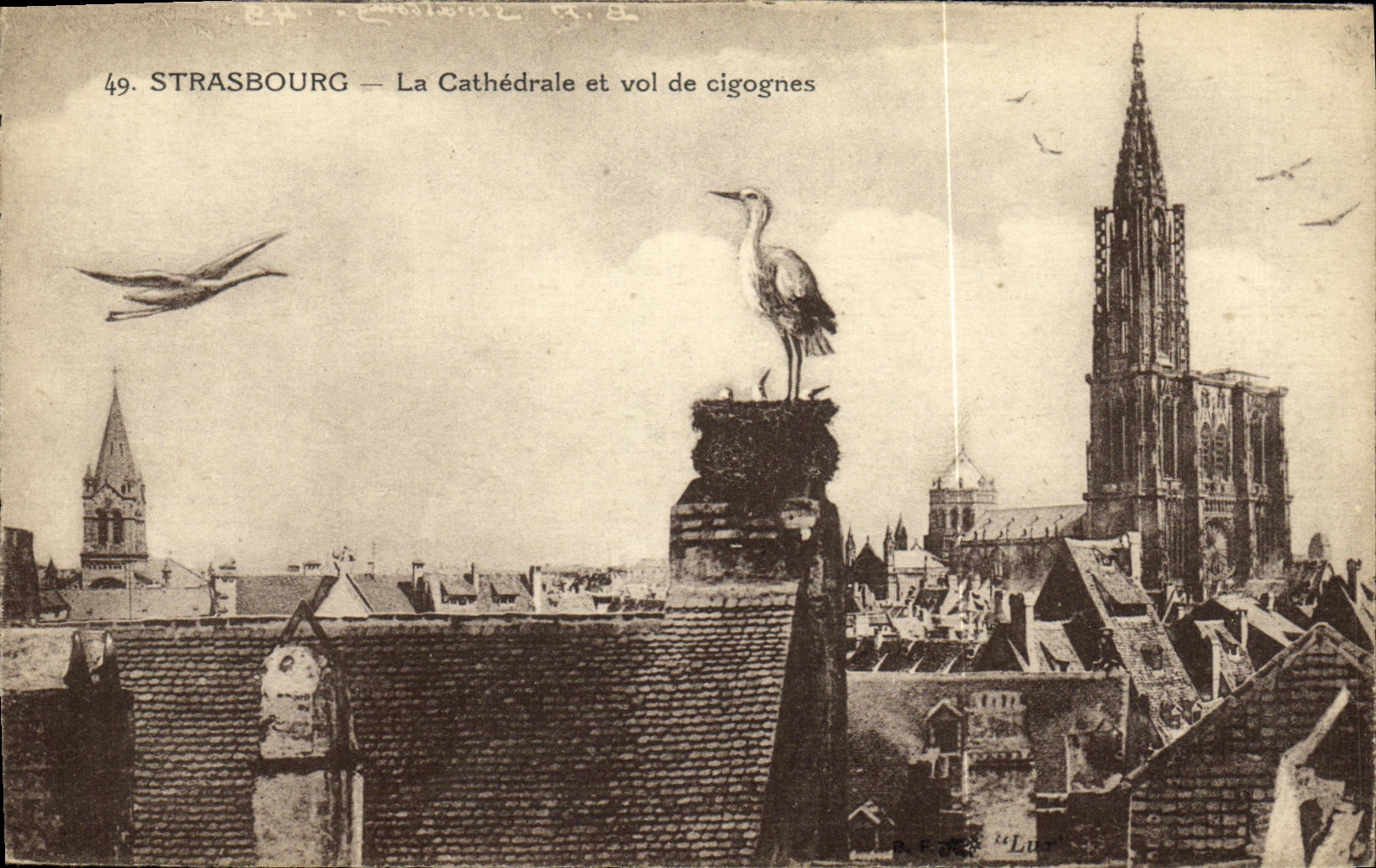 CPA Strasbourg La Cathedrale et vol de cigognes