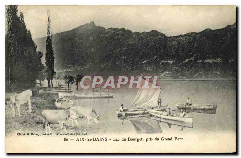 CPA Aix Les Bains Le Lac Abbaye de Hautecombe Vaches 