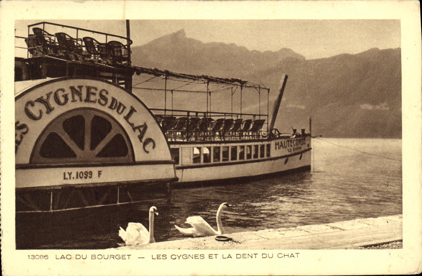 CPA Bourget du Lac Les Cygnes et La Dent Du Chat Bateau 
