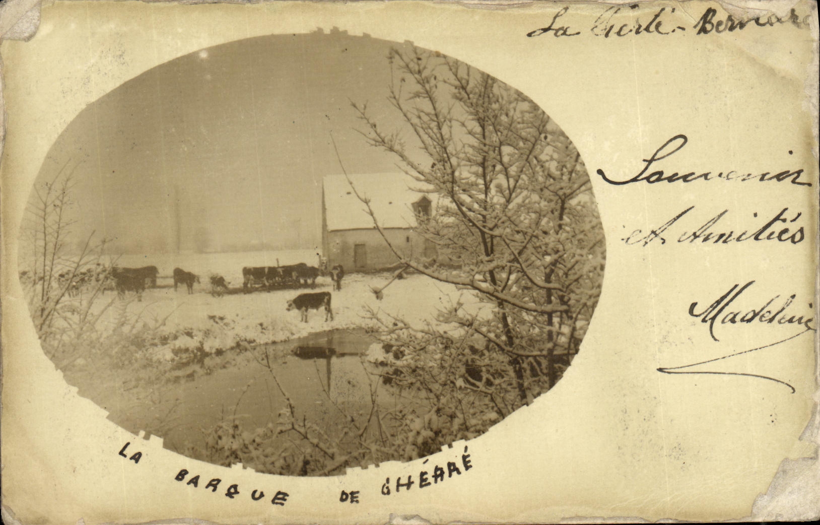 CARTE PHOTO La Ferte Bernard la barque de Gherae Vaches