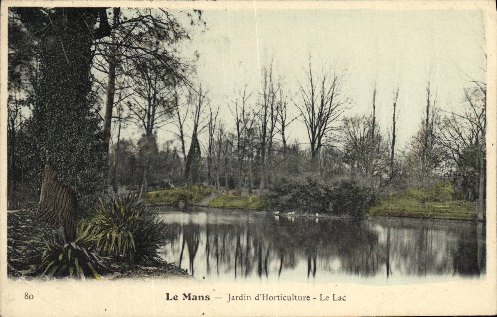 Le Mans — Jardin d'Horticulture — Le Lac — n°80