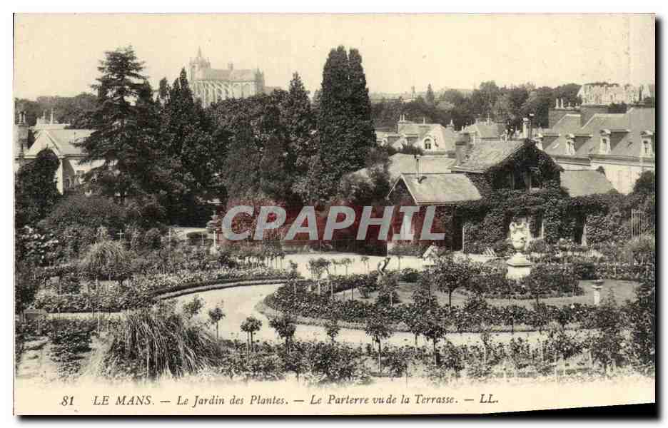 CPA Le Mans Le Jardin des Plantes Le Parterre Vu de 