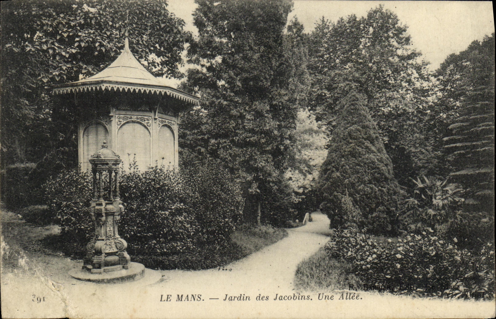 CPA Le Mans Jardin des Jacobins Une Allee