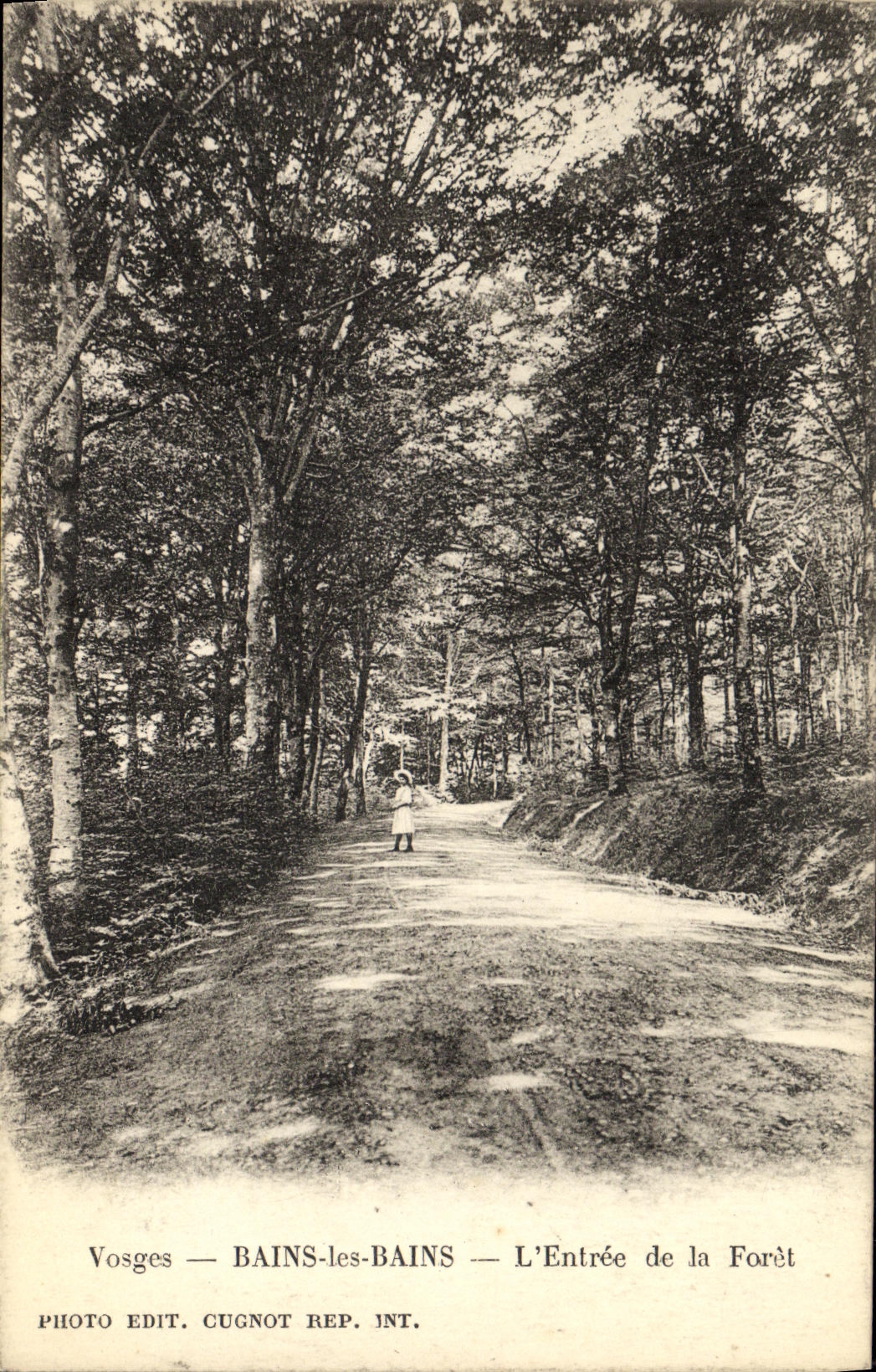CPA Bains Les Bains L Entree de la Foret