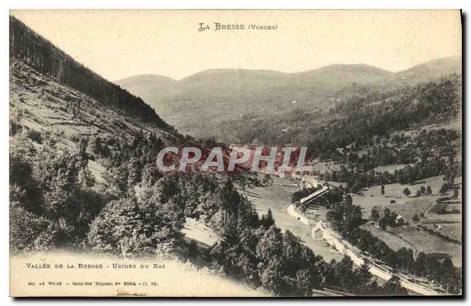 Vallée de La Bresse — Usines du Bas — Saint-Dié Déposé N° 3964 — Cl. Th.