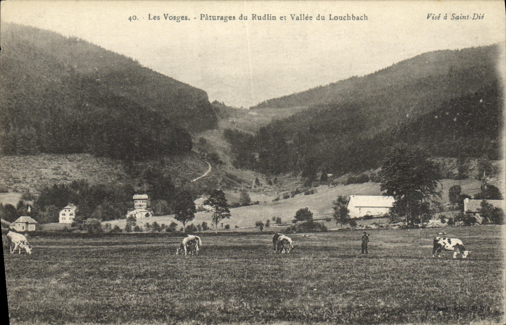 Les Vosges - Pâturages du Rudlin et Vallée du Louchbach — Visé à Saint-Dié