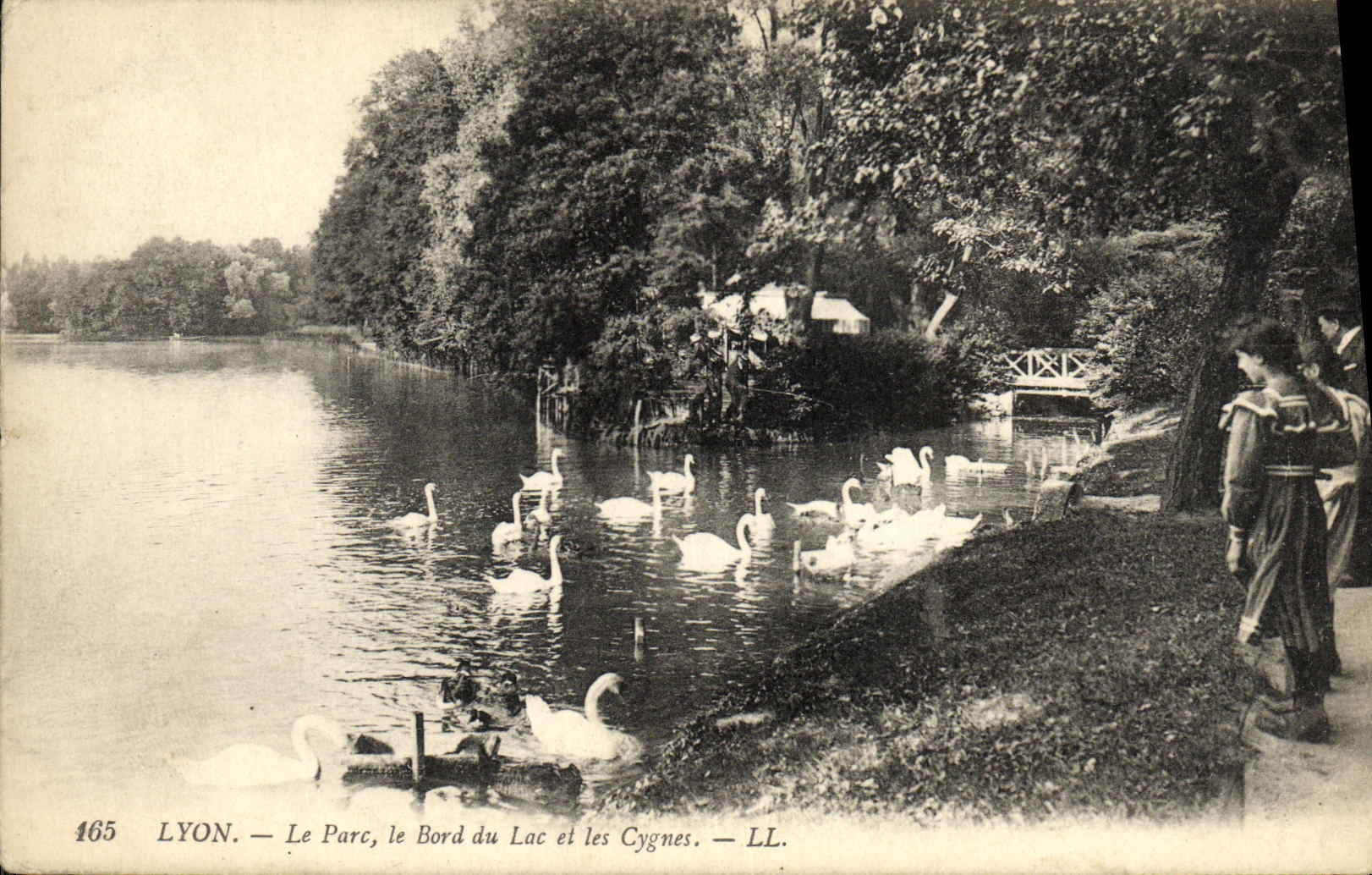 CPA Lyon Le Parc le Bord du Lac et les Cygnes