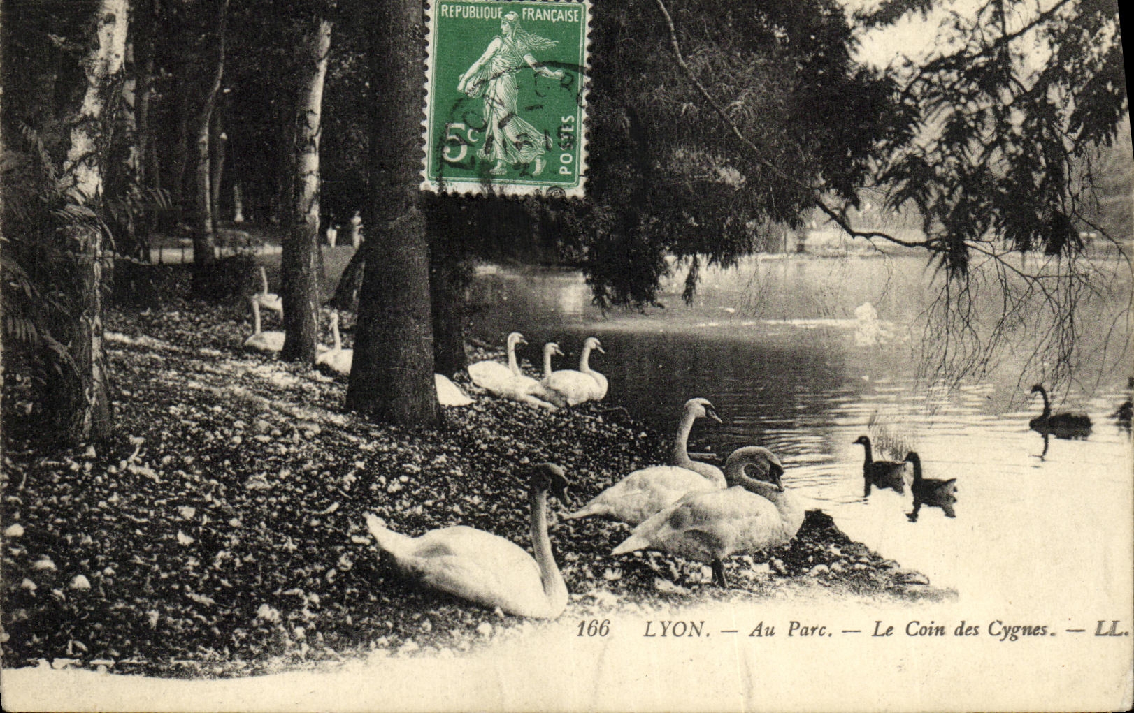 CPA Lyon Au Parc Le Coin des Cygnes