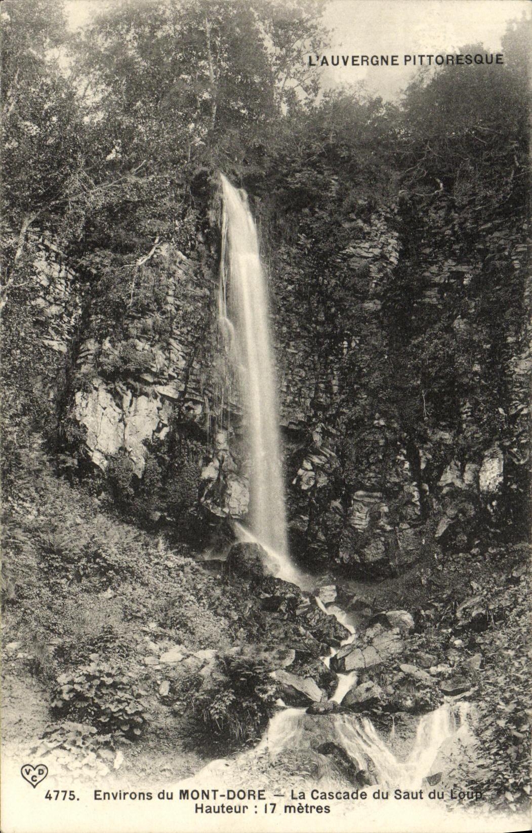 CPA Environs du Mont Dore La Cascade du Saut du Loup 