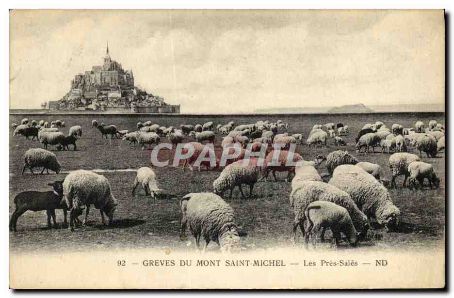 CPA Mont Saint Michel L Escalier Les Pres Sales Moutons