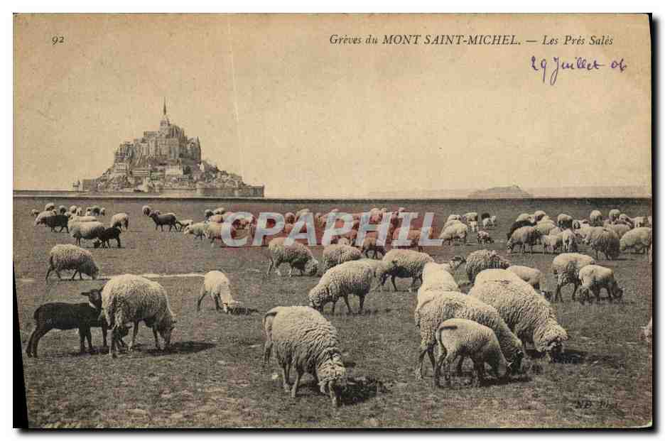 CPA La Mont Saint Michel Les Pres Sales Moutons