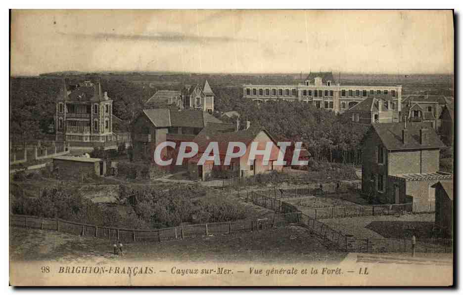 Cayeux-sur-Mer — Allgemeiner Blick und der Wald — I.L.