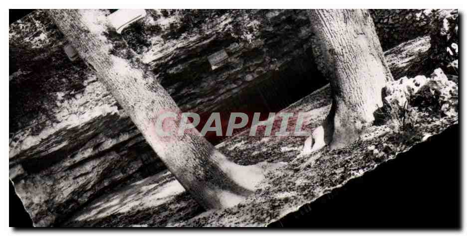 CPM Grottes de Arcy sur Cure 