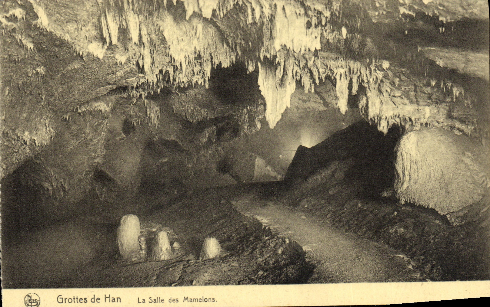 CPA Grottes de Han La Salle des Mamelons