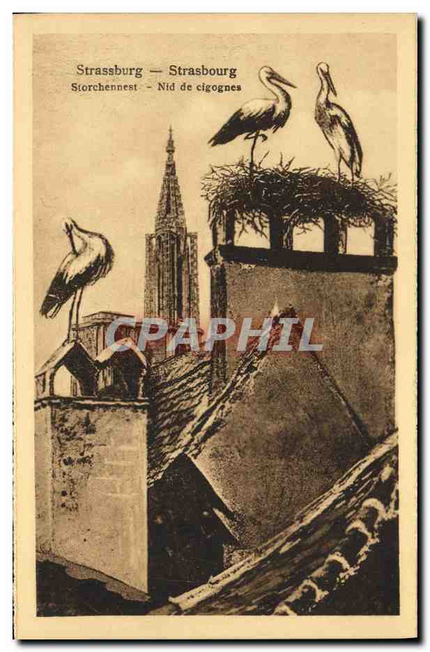 CPA Strassburg Nid de Cigognes