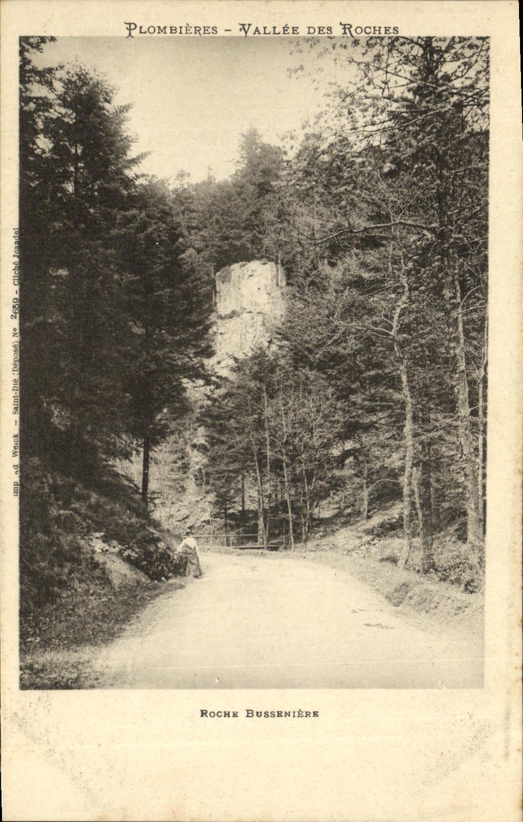 CPA Plombieres Les Bains Vallee Des Roches Roche Busseniere