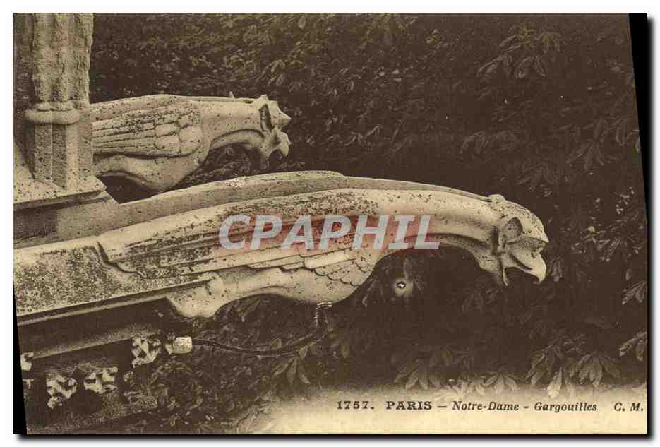 CPA Paris Notre Dame Gargouilles