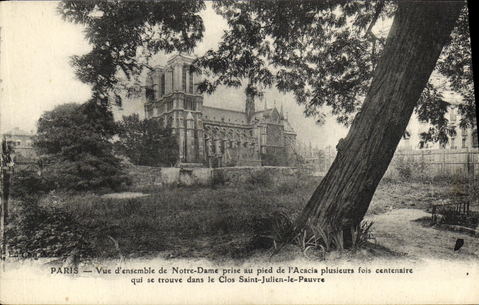CPA Vue d ensemble de Notre Dame prise au pied de l Acacia plusieurs fois centenaire Clos Saint Julien le Pauvre